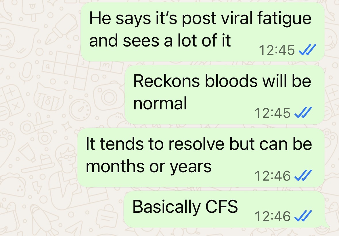 "He says it's post viral fatigue and sees a lot of it Reckons bloods will be normal It tends to resolve, but can be months or years Basically CFS"